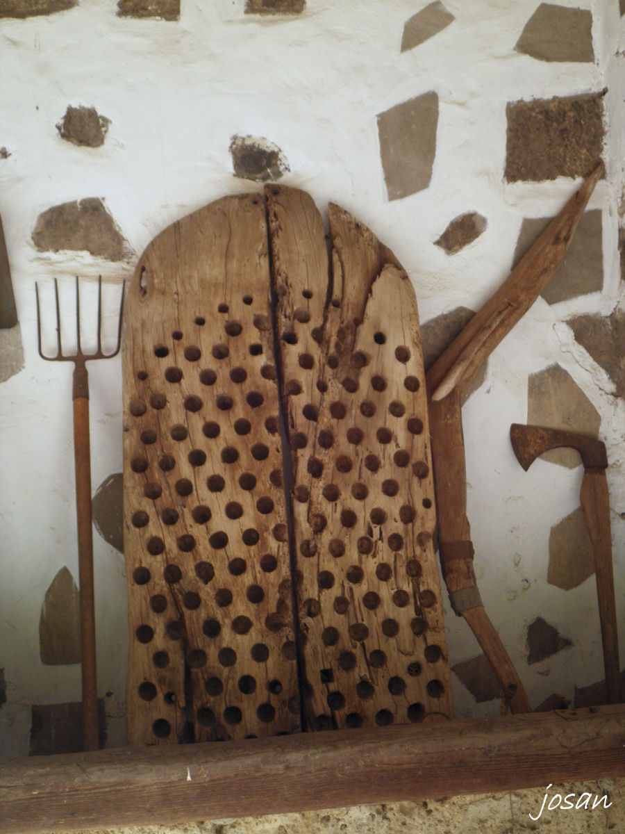 Foto: jardin canario - Las Palmas De Gran Canarias (Las Palmas), España