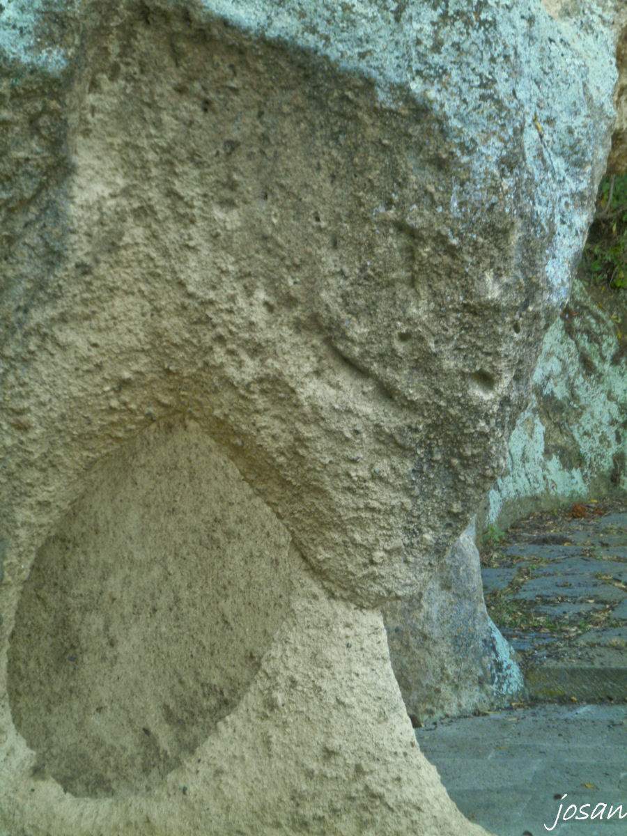 Foto: jardin canario - Las Palmas De Gran Canarias (Las Palmas), España