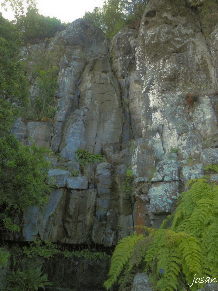 Foto: jardin canario - Las Palmas De Gran Canarias (Las Palmas), España