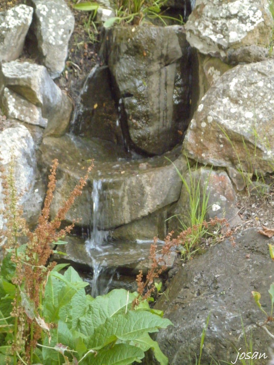 Foto: jardin canario - Las Palmas De Gran Canarias (Las Palmas), España
