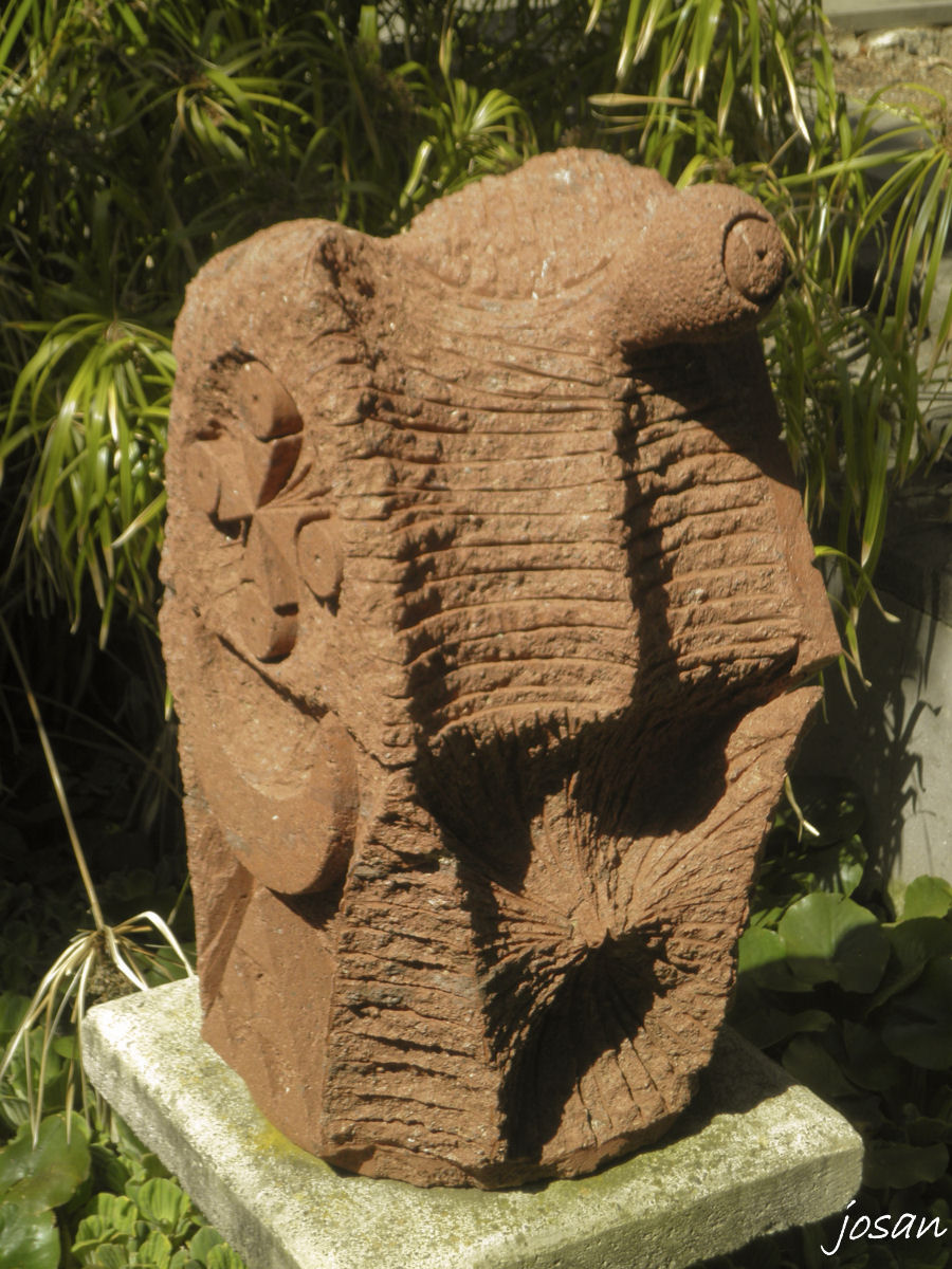 Foto: jardin canario - Las Palmas De Gran Canarias (Las Palmas), España