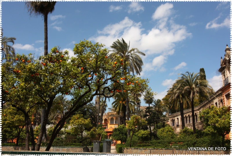 Foto: REALES ALCÁZARES - Sevilla (Andalucía), España