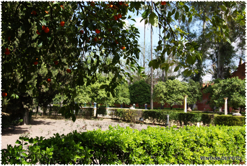 Foto: REALES ALCÁZARES - Sevilla (Andalucía), España