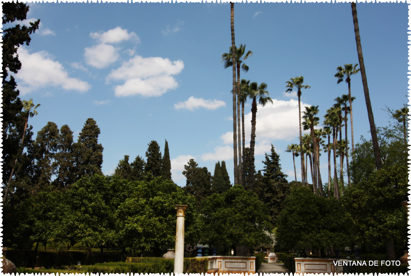 Foto: REALES ALCÁZARES - Sevilla (Andalucía), España