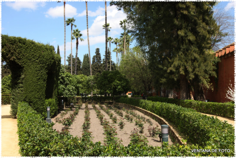 Foto: REALES ALCÁZARES - Sevilla (Andalucía), España