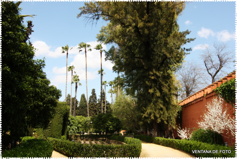 Foto: REALES ALCÁZARES - Sevilla (Andalucía), España