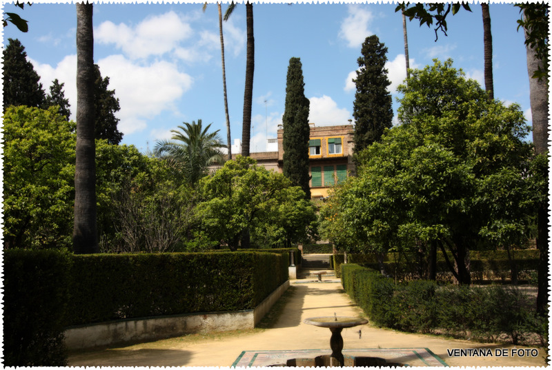 Foto: REALES ALCÁZARES - Sevilla (Andalucía), España