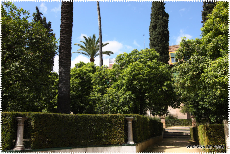 Foto: REALES ALCÁZARES - Sevilla (Andalucía), España