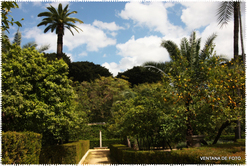 Foto: REALES ALCÁZARES - Sevilla (Andalucía), España