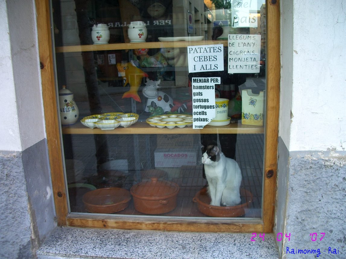 Foto: Mollerusa - Mollerusa (Lleida), España