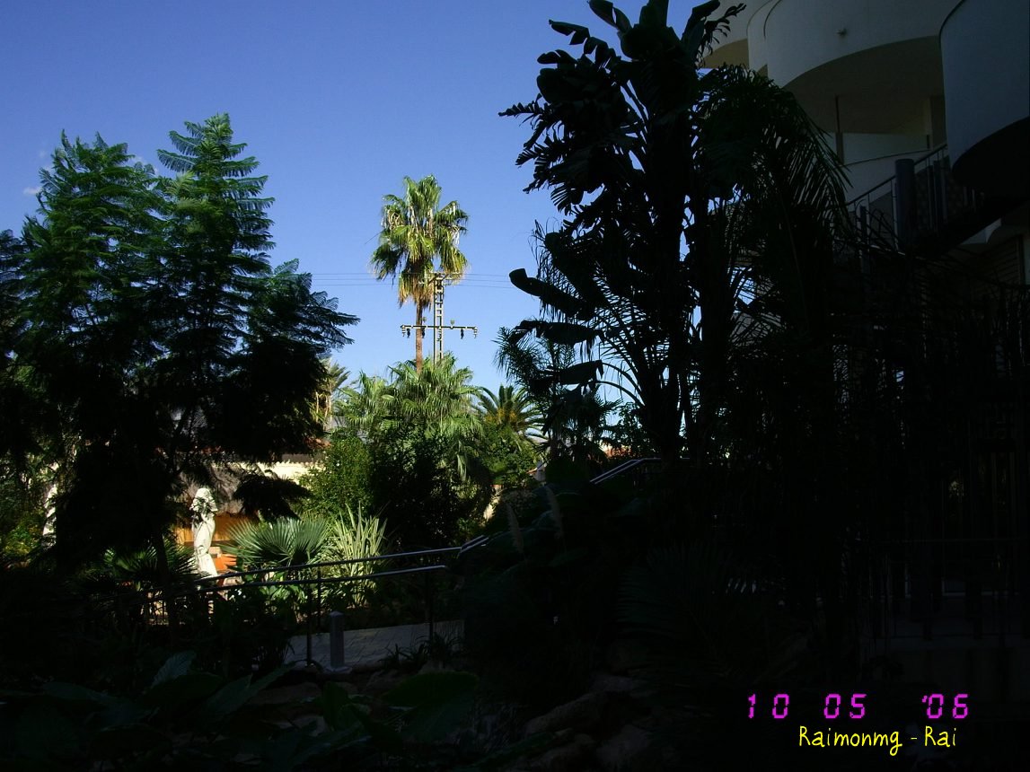 Foto: Jardin - Alicante (Comunidad Valenciana), España