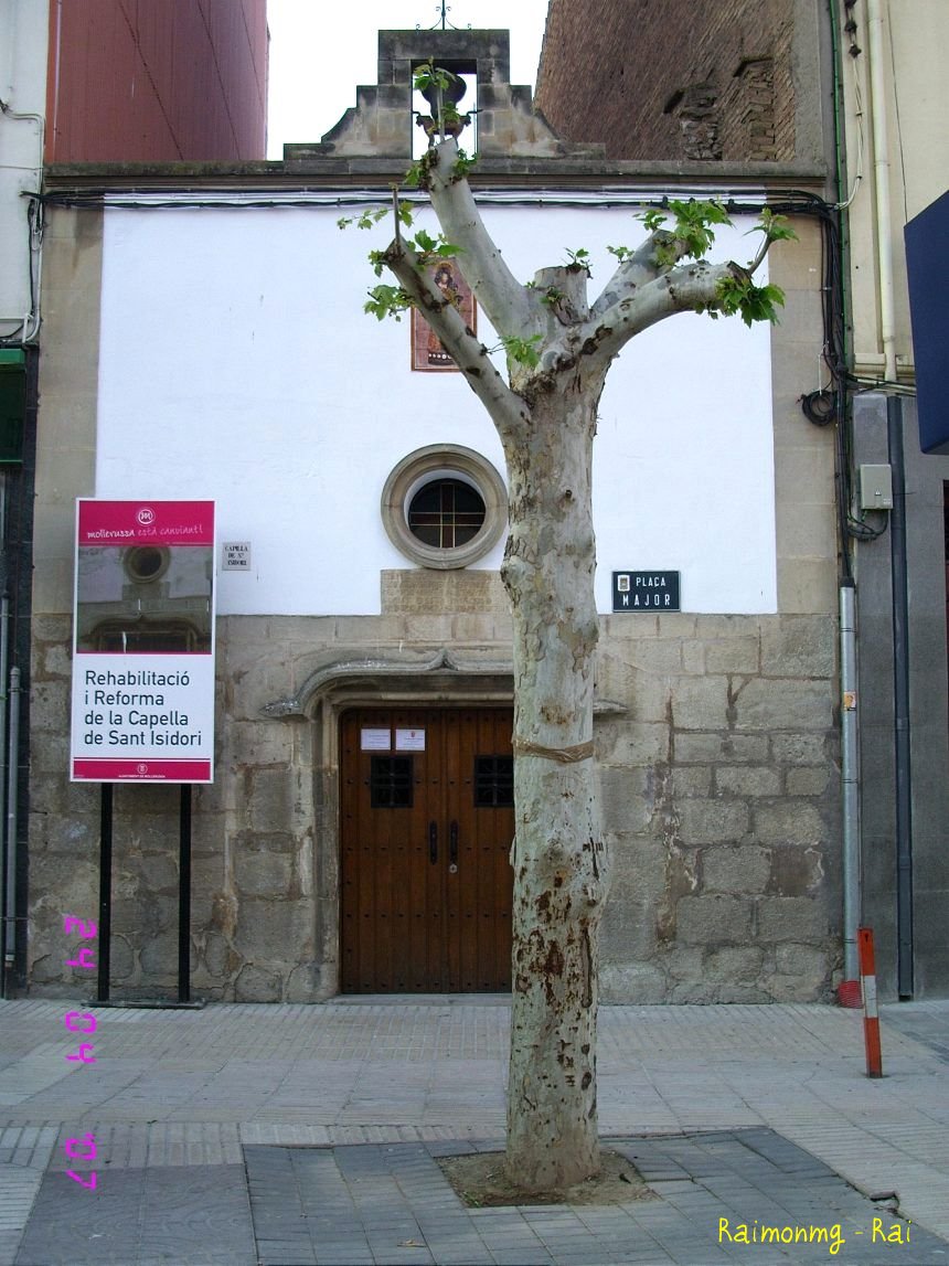 Foto: Plaza Mayor - Mollerusa (Lleida), España