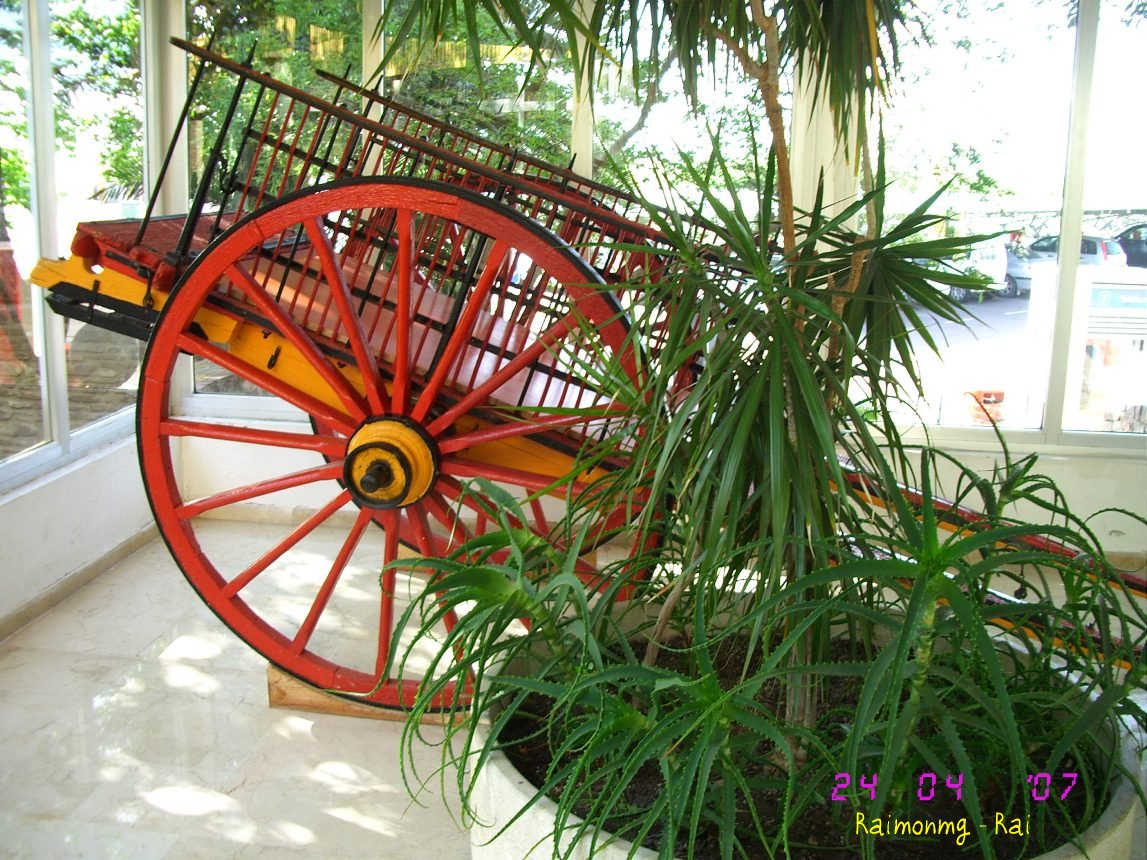 Foto: El Carro - Ciudad Real (Castilla La Mancha), España