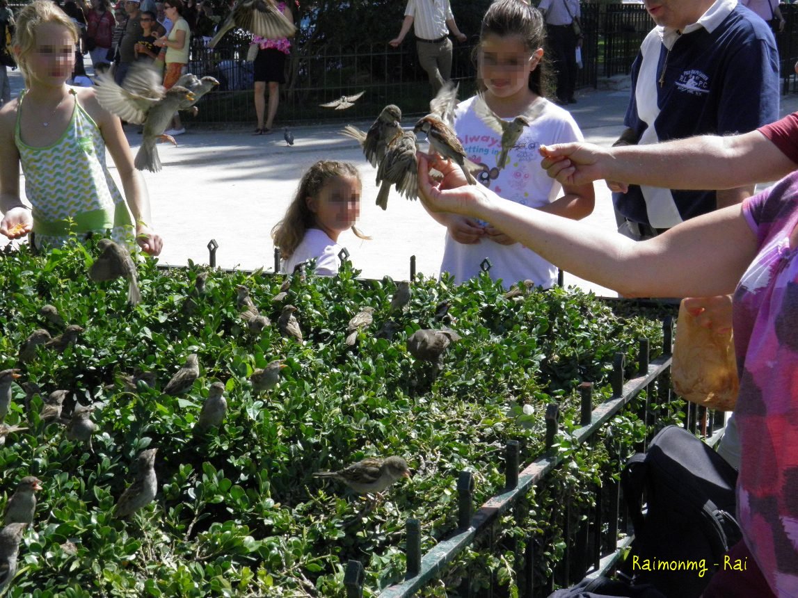 Foto: Catedral - París, Francia