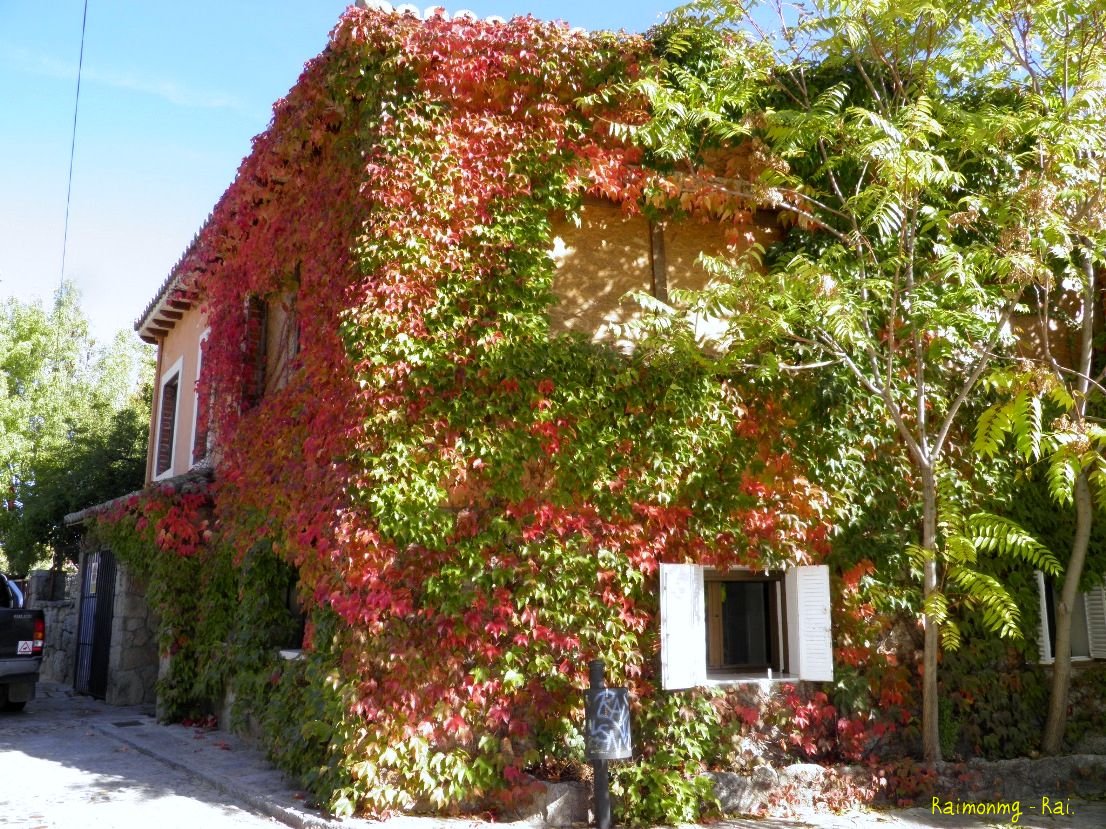 Foto: Fachadas típicas - Peralejo (Madrid), España