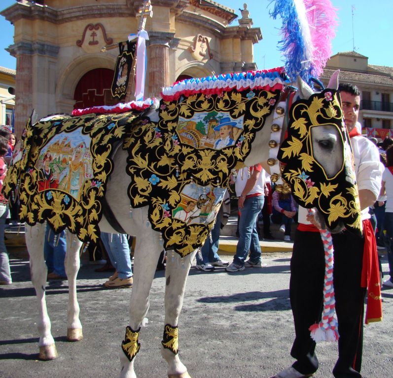Foto: Caballos del Vino - Caravaca de la Cruz (Murcia), España
