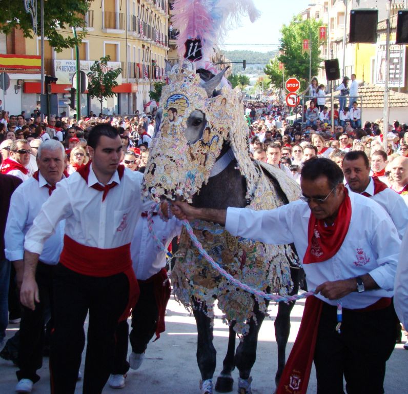 Foto: Caballos del Vino - Caravaca de la Cruz (Murcia), España