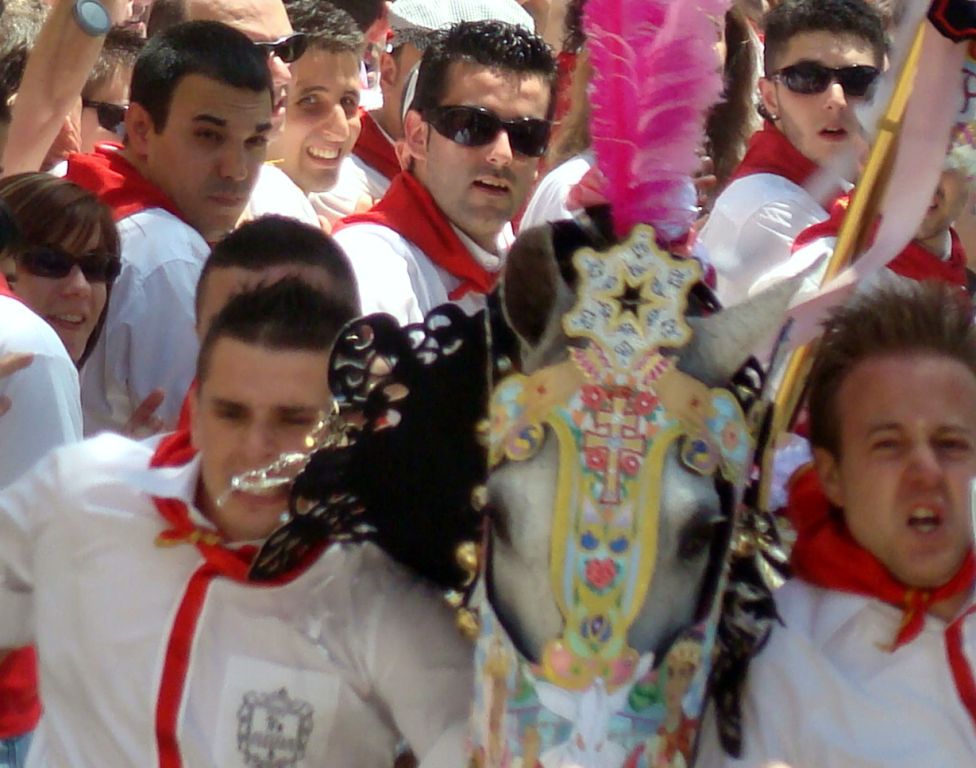Foto: Caballos del Vino - Caravaca de la Cruz (Murcia), España