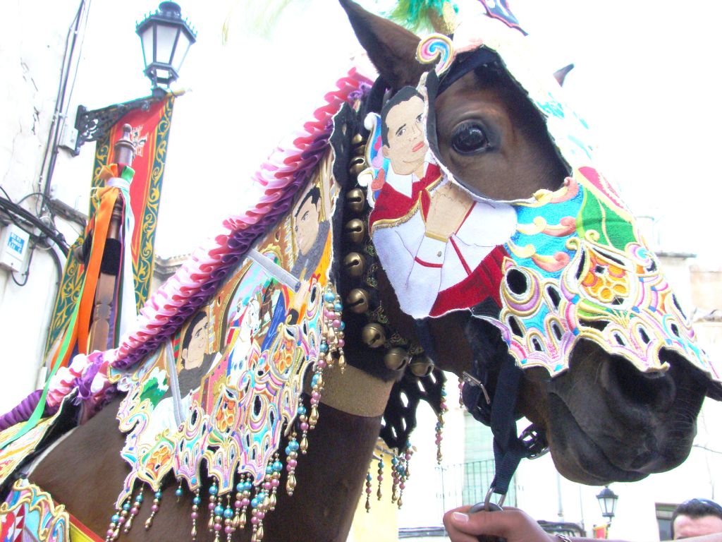 Foto: Caballos del Vino - Caravaca de la Cruz (Murcia), España