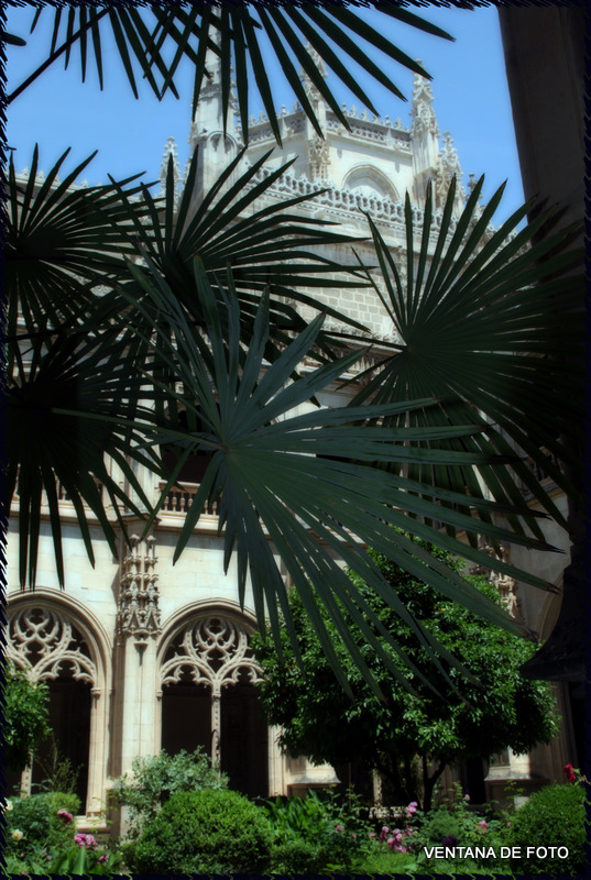 Foto: PATIO SAN JUAN DE LOS REYES - Toledo (Castilla La Mancha), España