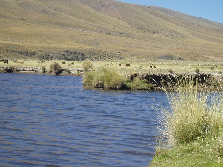 Foto: laguna y altiplano - Cala Cala (Oruro), Bolivia