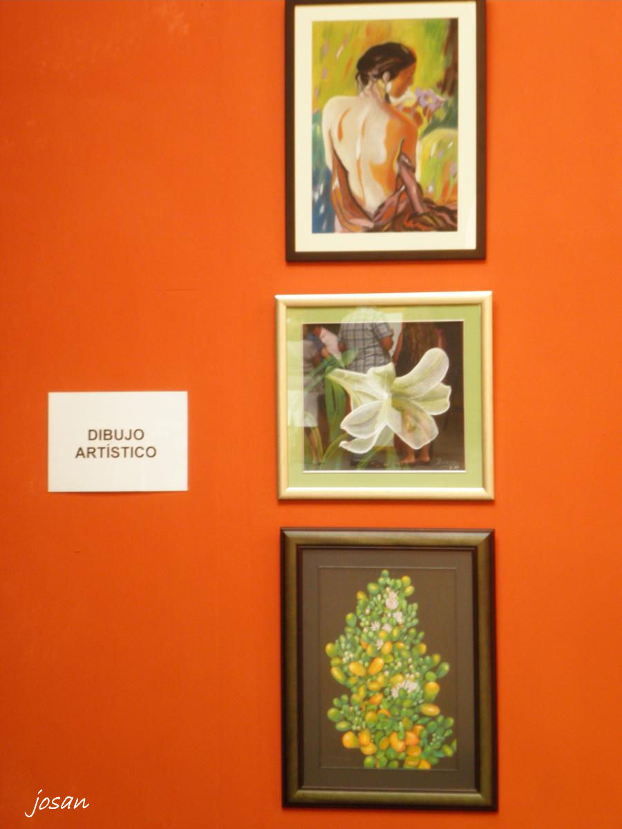 Foto: expocion de alumnos de universidad popular de l.p.g.c - Las Palmas De Gran Canarias (Las Palmas), España