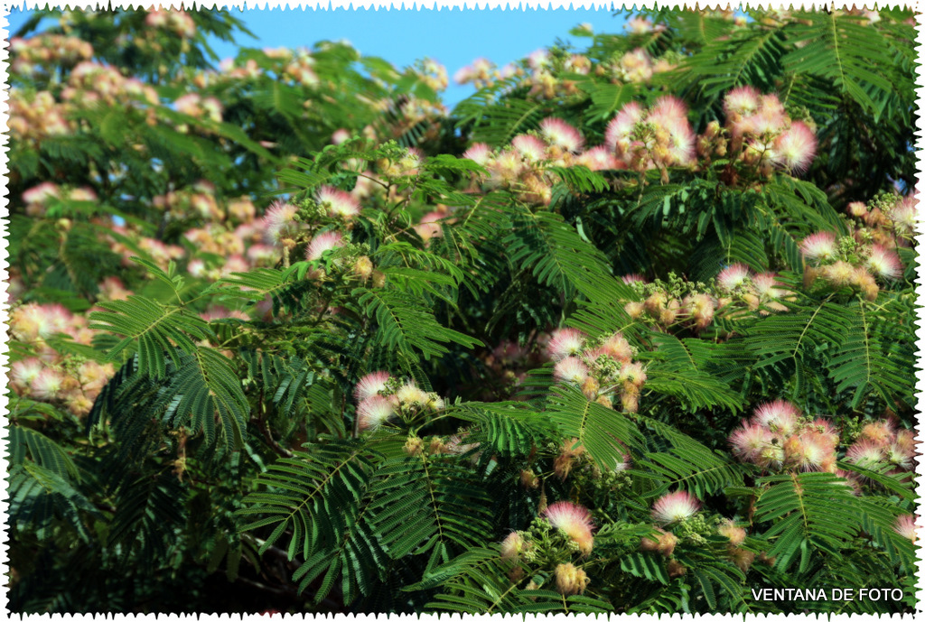 Foto de Posadas (Córdoba), España