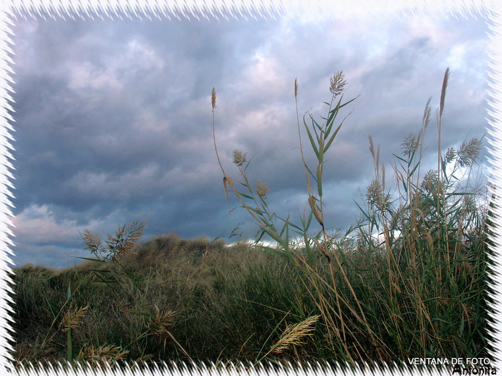 Foto: AMENAZA DE LLUVIAS - Posadas (Córdoba), España