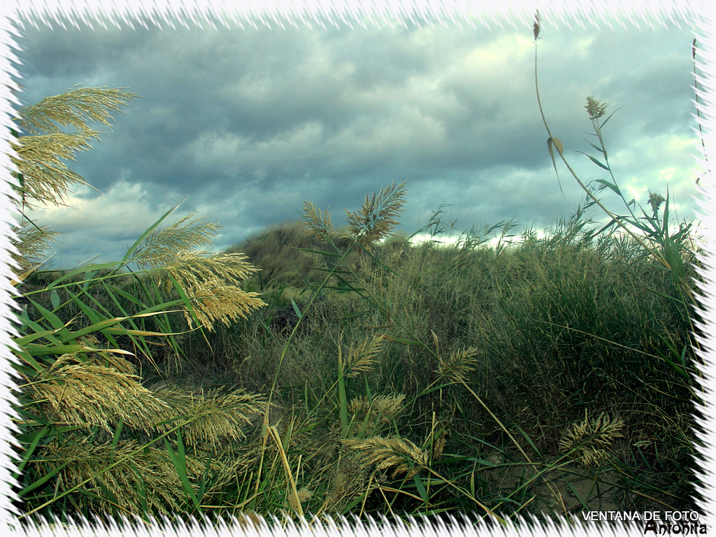 Foto: AMENAZA DE LLUVIAS - Posadas (Córdoba), España