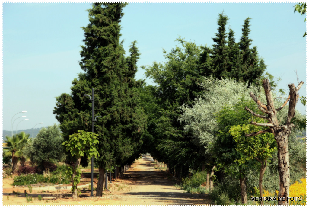 Foto: SENDERISMO - Posadas (Córdoba), España