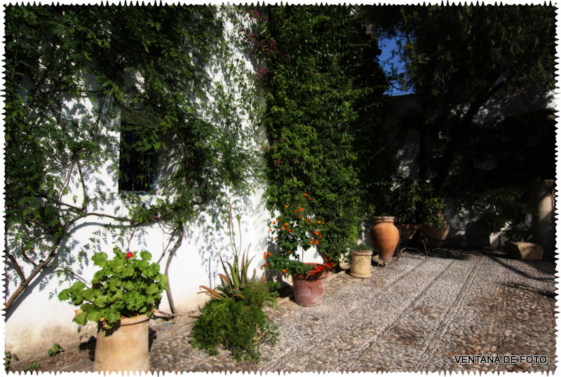 Foto: PALACIO DE VIANA - Córdoba (Andalucía), España