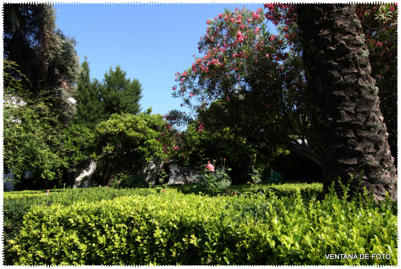 Foto: PALACIO DE VIANA - Córdoba (Andalucía), España