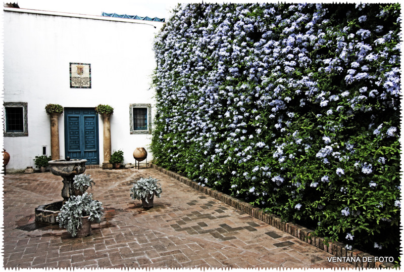 Foto: PALACIO DE VIANA - Córdoba (Andalucía), España