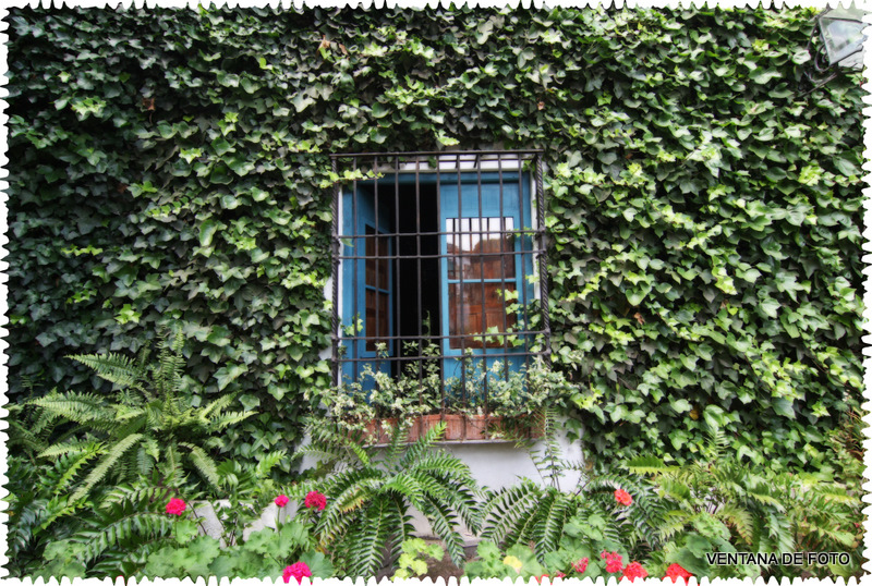 Foto: PALACIO DE VIANA - Córdoba (Andalucía), España