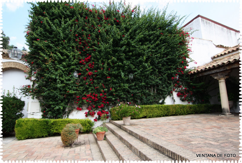 Foto: PALACIO DE VIANA - Córdoba (Andalucía), España