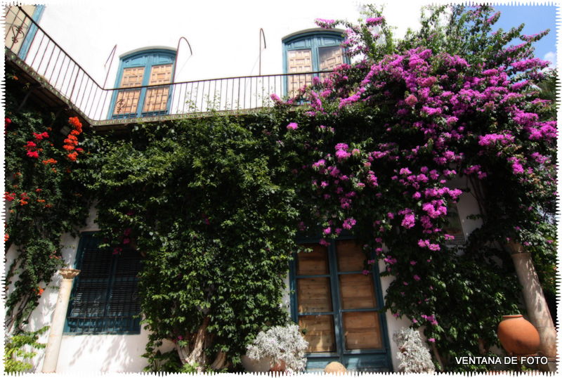 Foto: PALACIO DE VIANA - Córdoba (Andalucía), España