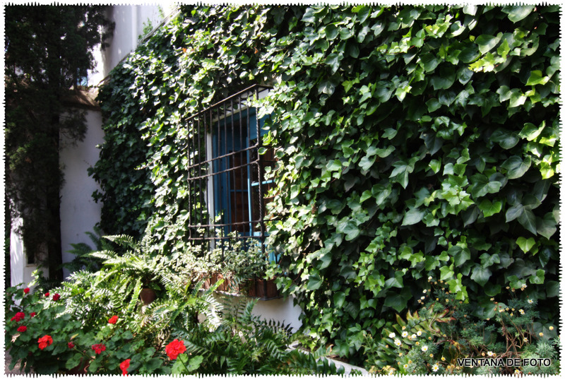 Foto: PALACIO DE VIANA - Córdoba (Andalucía), España