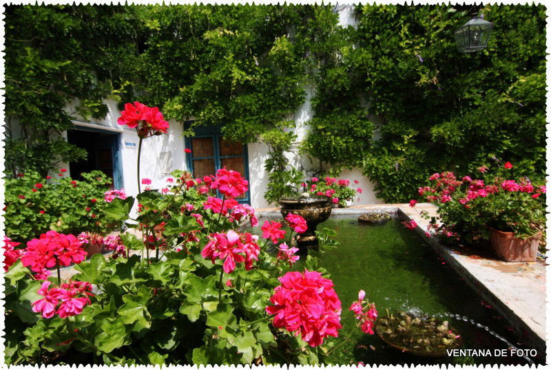 Foto: PALACIO DE VIANA - Córdoba (Andalucía), España