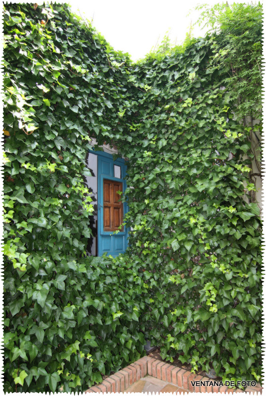 Foto: PALACIO DE VIANA - Córdoba (Andalucía), España