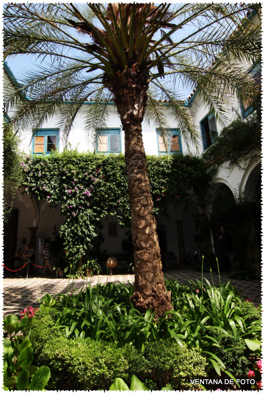 Foto: PALACIO DE VIANA - Córdoba (Andalucía), España
