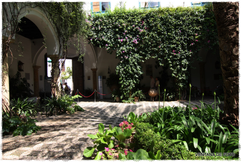 Foto: PALACIO DE VIANA - Córdoba (Andalucía), España