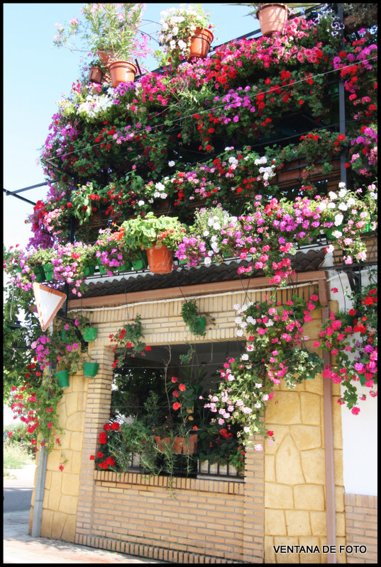 Foto: BARRIO DEL PILAR- FACHADA CON MACETAS - Posadas (Córdoba), España