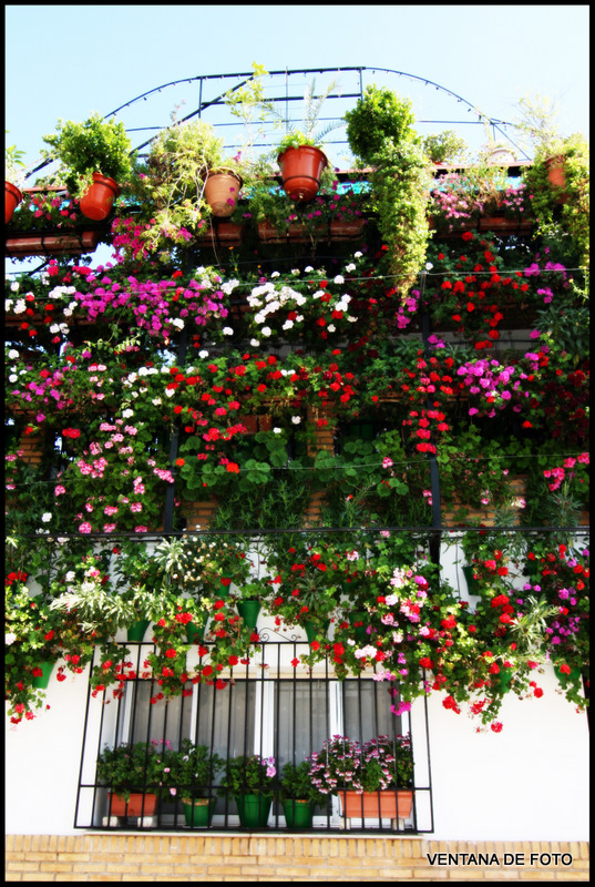 Foto: BARRIO DEL PILAR-FACHADA CON MACETAS - Posadas (Córdoba), España