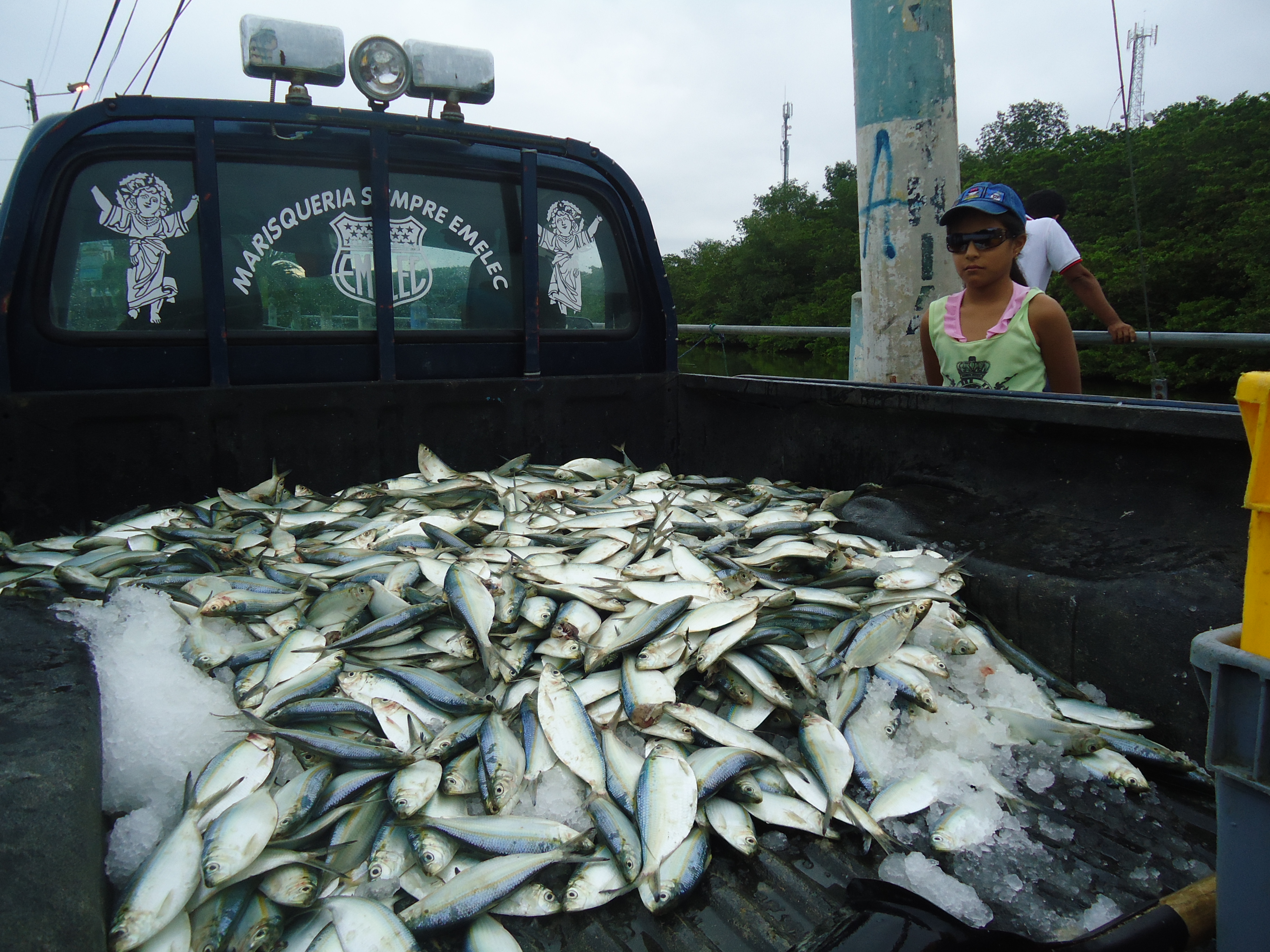 Foto: Pesca - Atacames (Esmeraldas), Ecuador