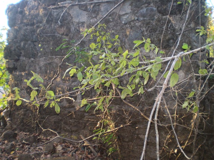 Foto: Antiguo Puente Sobre el Rio San Pedro - San Pedro del Espino (Veraguas), Panamá
