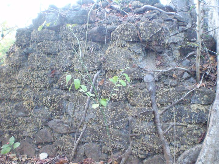 Foto: Antiguo Puente Sobre el Rio San Pedro - San Pedro del Espino (Veraguas), Panamá