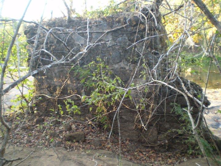 Foto: Antiguo Puente Sobre el Rio San Pedro - San Pedro del Espino (Veraguas), Panamá