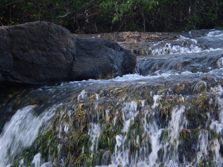 Foto: Pequeñas Cascada en Rio San Pedro - San Pedro del Espino (Veraguas), Panamá