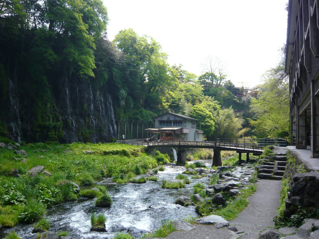 Foto: A los pies de las cataratas Shiraito - Fujinomiya (Shizuoka), Japón