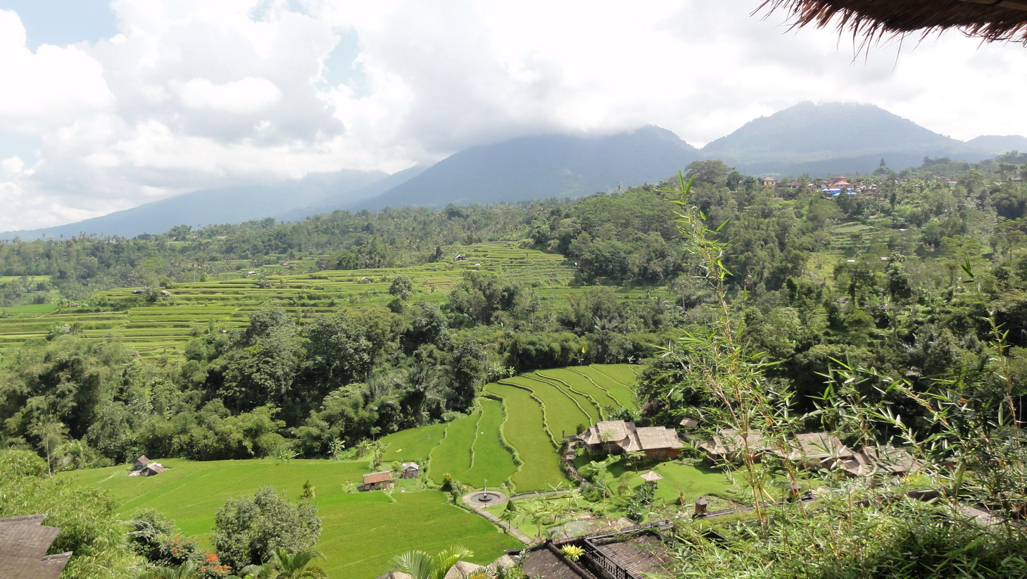 Foto: Vista de los arrozales - Baturiti (Bali), Indonesia